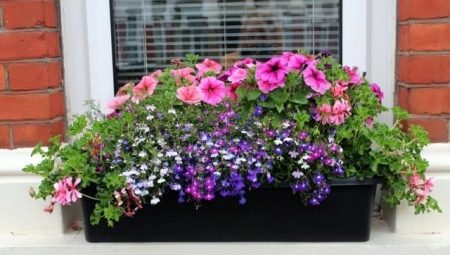 Bacs à fleurs pour balcon: quels sont-ils et comment les choisir?