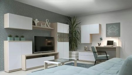 Λευκός τοίχος στο σαλόνι: χαρακτηριστικά, ποικιλίες, επιλογές, παραδείγματα