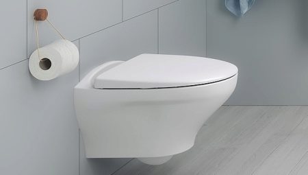 Viseći toaleti bez dna: kako su uređeni i kako odabrati pravu opciju?