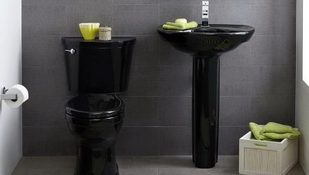 Fekete WC: típusok, választási lehetőségek és lehetőségek a belső terekben