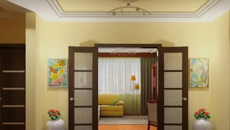 Salon kapıları: çeşitleri, seçimi, montajı, örnekler