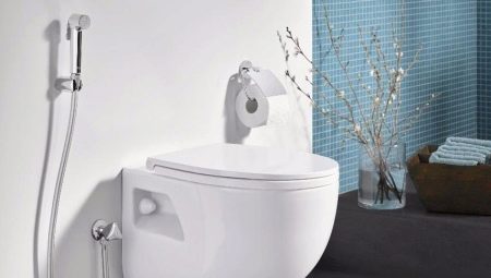 Hygienic shower Grohe: description and model range
