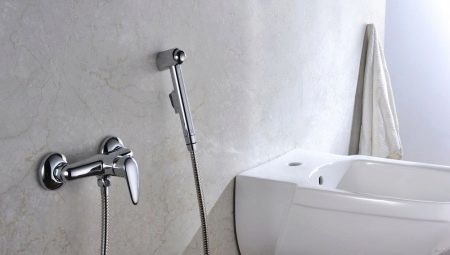 Hygienic shower with mixer: varieties, brands and choices