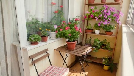 ¿Cómo usar flores para decorar un balcón y una logia?