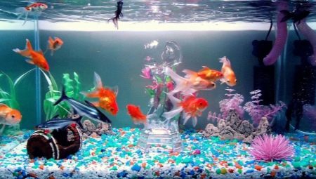 Cum să se înmoaie apa din acvariu și cum să-i crești duritatea?