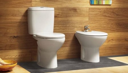 Which Ceramin toilet to choose?