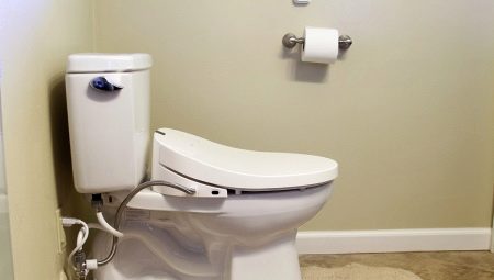 Pokrivač bidea za toalet: sorte, marke, izbor i ugradnja