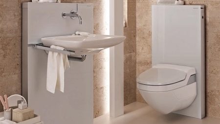 Små toaletter: hva er og hvordan velge?