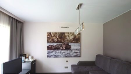 Matte stretch ceilings για την αίθουσα: τύποι, επιλογή, παραδείγματα