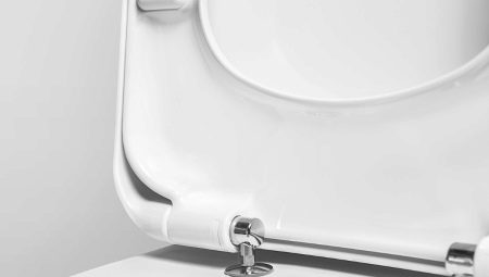 Mikrolift på toilettet: hvad er det, hvad er fordele og ulemper?