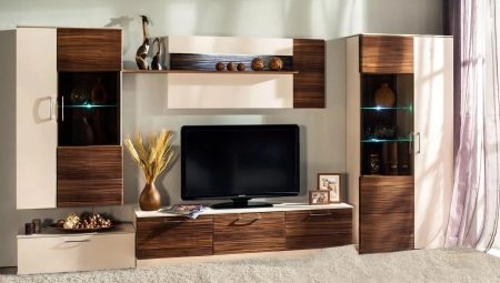 Modulárne steny v obývacej izbe: typy a výber