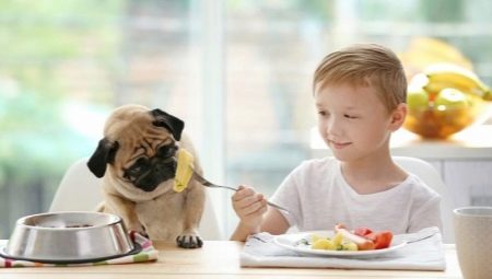 Μπορούν τα σκυλιά να πάρουν πατάτες και ποιοι είναι οι περιορισμοί;