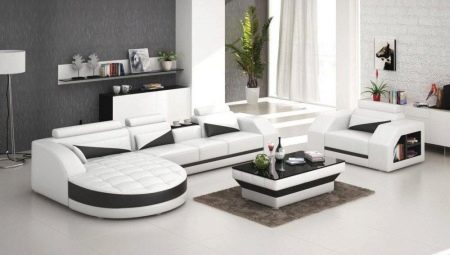 Klädda möbler för vardagsrummet: sorter, val och alternativ i interiören