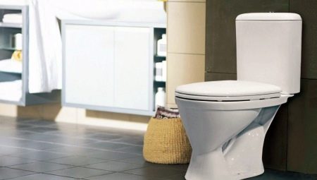 Overzicht en tips voor het kiezen van Della-toiletten