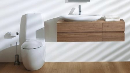 Features and variety of Laufen toilet models