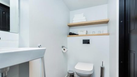Ράφια στην τουαλέτα: ποικιλίες, επιλογές και παραδείγματα