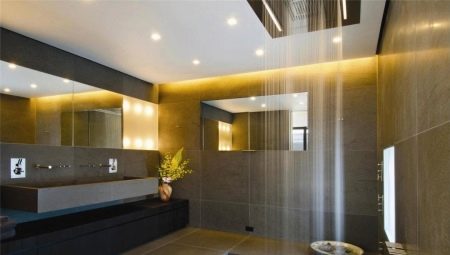 Lubų šviestuvai vonios kambaryje: veislės, prekės ženklai ir pasirinkimai