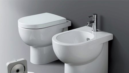 Toilet bowls: features, types and installation