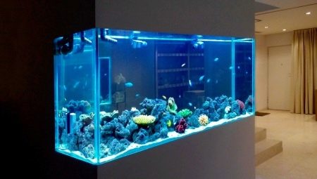 Pengiraan ketebalan kaca untuk akuarium