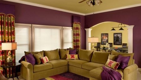 The combination of colors in the interior of the living room