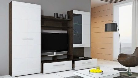 Stena v obývacej izbe: výhľady, výber a možnosti v interiéri