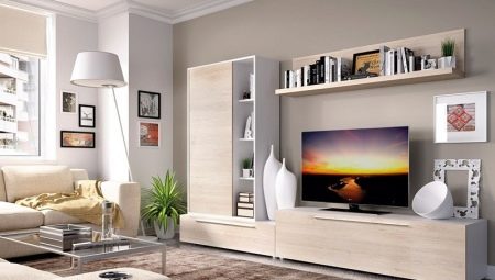 Paredes para TV en la sala de estar: variedades y recomendaciones para elegir
