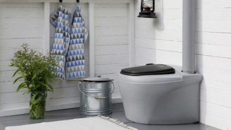 Toilette per torba per una residenza estiva: come è organizzata e quale opzione è meglio scegliere?