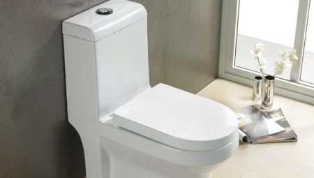 Toilettes monoblocs: caractéristiques et recommandations de sélection