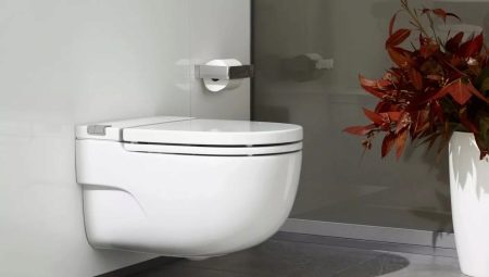 Toilets without a tank: pros and cons, varieties, choice