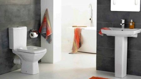 Servizi igienici Cersanit: caratteristiche e tipi, selezione e installazione