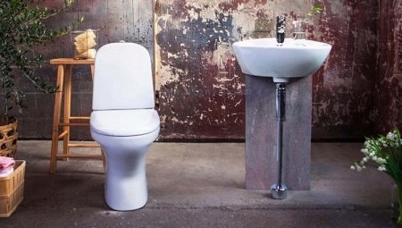 Banheiros Gustavsberg: prós e contras, tipos e escolhas