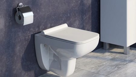 Iddis-toiletten: opstelling, voor- en nadelen, selectie-aanbevelingen