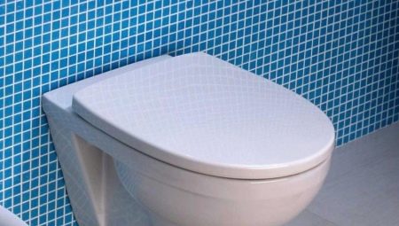 Kolo-toiletten: een verscheidenheid aan modellen en selectiecriteria