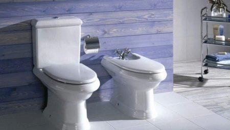 Toilettes Roca: description, types et sélection