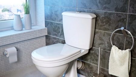 Toalety so šikmým vydaním: odrody, tipy na výber a jemnosť inštalácie
