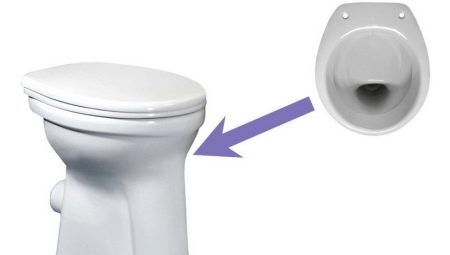 Toiletten met een plank: kenmerken, een verscheidenheid aan modellen en selectiecriteria