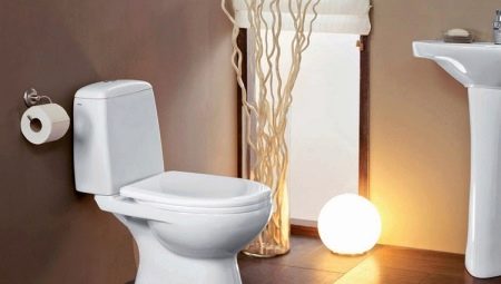 Toiletter med direkte frigivelse: design, fordele og ulemper, valg af tip