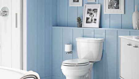 Santeri toilets: an overview of popular models