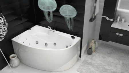 Triton banyoları: özellikler, çeşitler, seçim