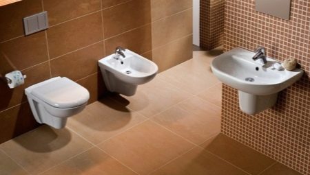 Inbyggda toaletter: funktioner och sorter, fördelar och nackdelar