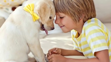 Huisdieren voor kinderen: voordelen en nadelen, wat te kiezen?