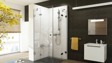 Shower in the bathroom without a cabin: pros and cons, design examples