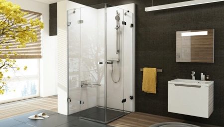 Cabines de duche sem palete: variedades e escolhas