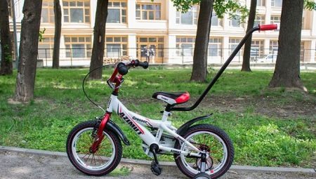 Vélos à poignée pour enfants: aperçu des fabricants et critères de sélection