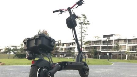 Elektrikli scooter Dualtron: modellerin avantajları, dezavantajları ve özellikleri