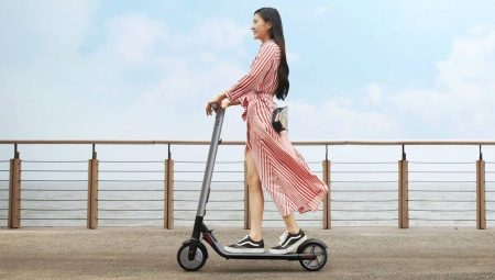 Electric scooters: features, manufacturers and selection tips