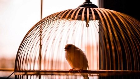 Vogelkäfige: Artenübersicht und Auswahlhilfe