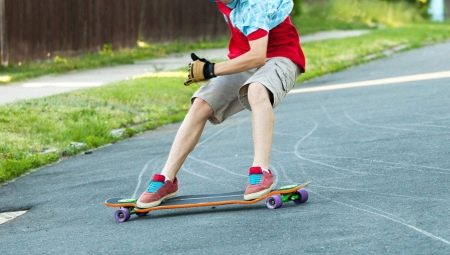 Longboards: what are and how to choose?
