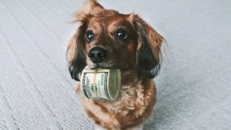 Lemmikkieläinverot Venäjällä