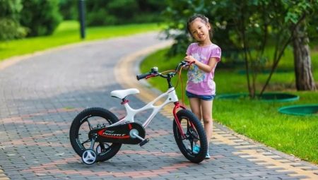 Característiques i els millors models de bicicleta Royal Baby